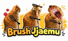 Brush Jjaemu img